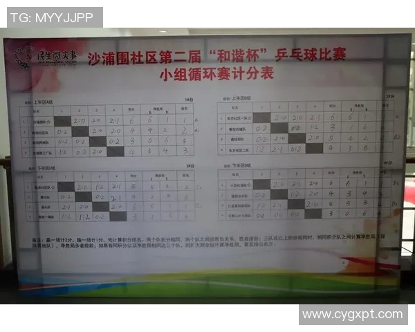 吴芳独家分享乒乓球技巧与心得助你提升球技的秘诀与经验