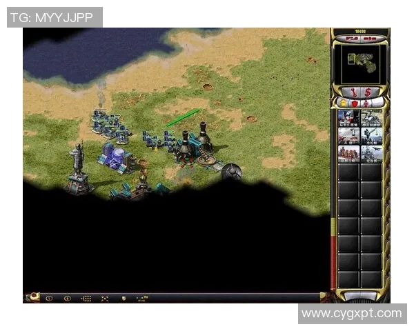 成都排球队阵地战体系解析与战术创新研究