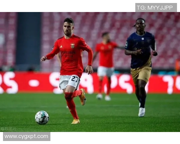 李娜独家分享足球心得与技巧探讨助你提升球技与战术理解