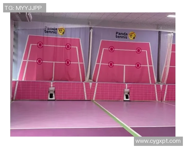 杭州网球队的意识探讨与发展现状分析聚焦网球运动的未来潜力与挑战