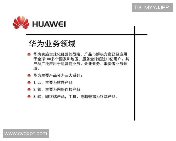 深度分析上海足球队的运营策略与市场推广模式