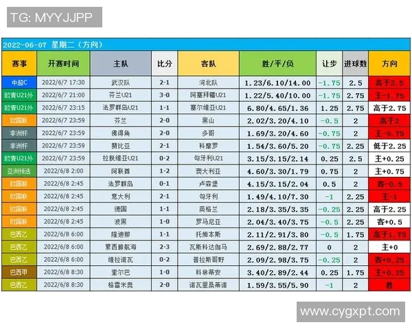 杭州足球队整体压制战术解析及其对比赛的影响探讨