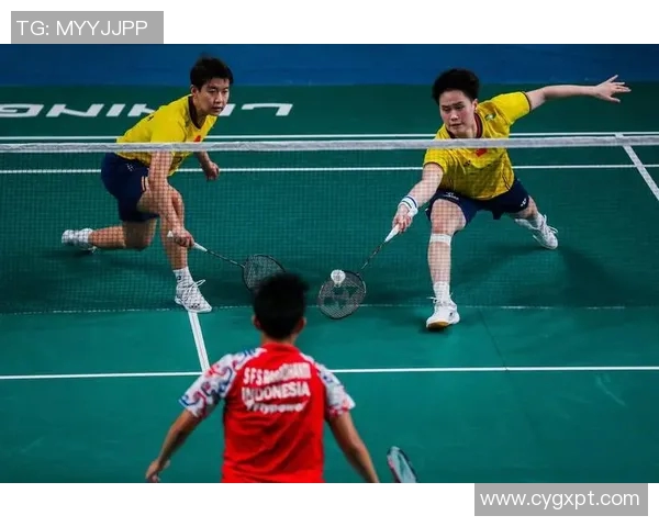 赛后分析:杭州羽毛球队与重庆羽毛球队的战术意识与表现对比 赛后分析:杭州羽毛球队与重庆羽毛球队的战术意识与表现对比