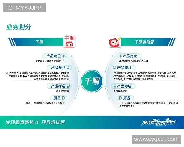 RNG耐力对比深度解析：团队协作与个人表现的全面评估