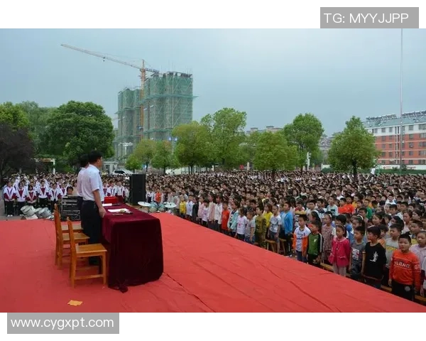 上海乒乓球队的辉煌征程与突破历程全景纪实