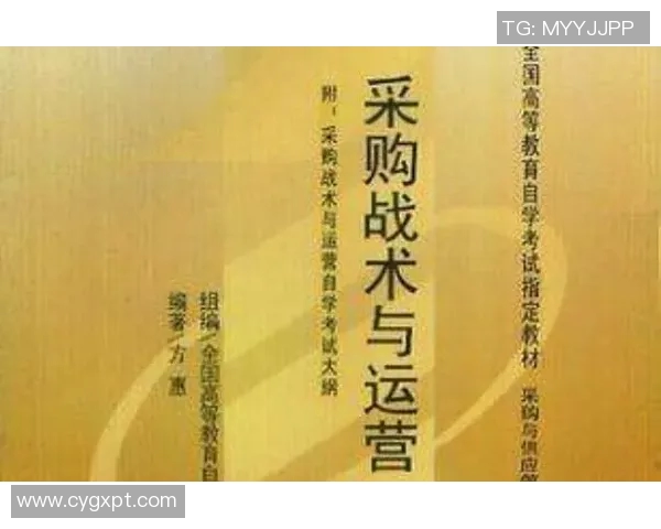 上海排球队战术解析与运营体系探讨助力球队全面提升竞争力