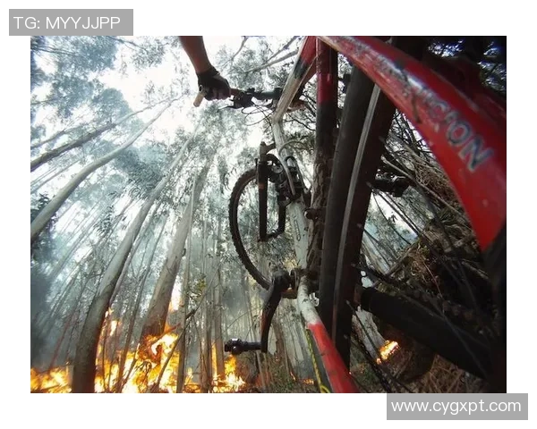 上海极限运动队的阵地战分析与反思:成败得失的全景回顾 上海极限运动队的阵地战分析与反思:成败得失的全景回顾