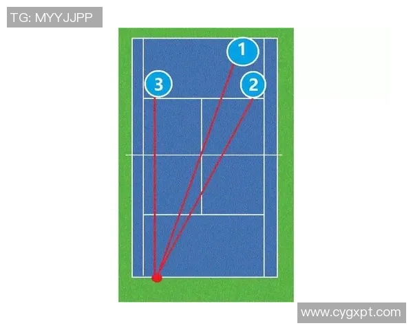 南京网球队在锦标赛中的意识表现与战术分析探讨