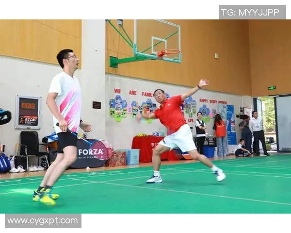 南京羽毛球队的实力分析与发展潜力探讨