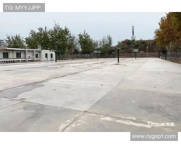 广州篮球队逆袭之路的真实记录与背后故事分享