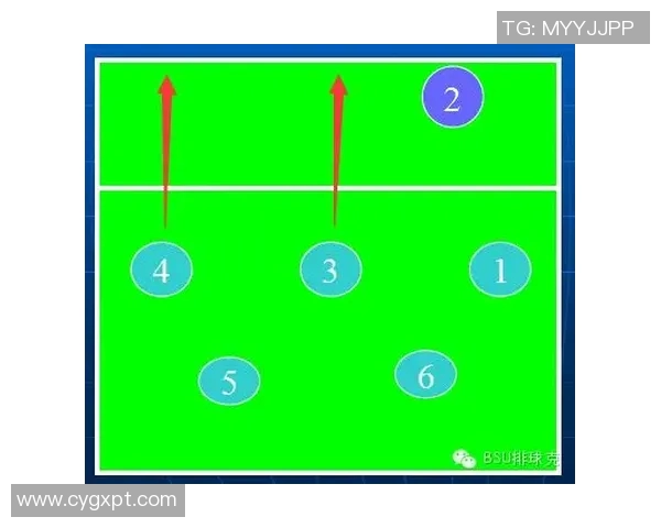 深入分析成都羽毛球队独特的包夹战术及其战术优势