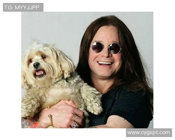 斯通斯传奇：从摇滚巨星到文化符号的辉煌历程与影响