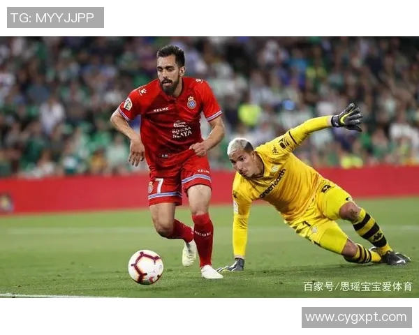 日本与波兰精彩对决全场录像回播回顾与分析