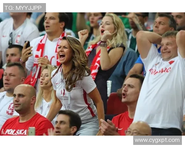 波兰与塞内加尔激战正酣精彩球赛回顾与精彩瞬间分析