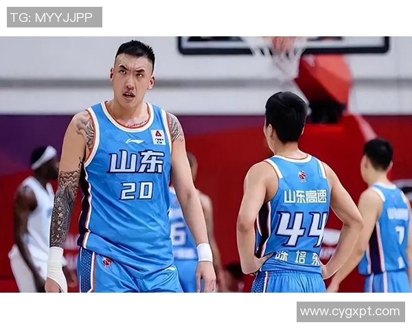 陶汉林：从篮球新星到国家队主力的成长之路与奋斗历程