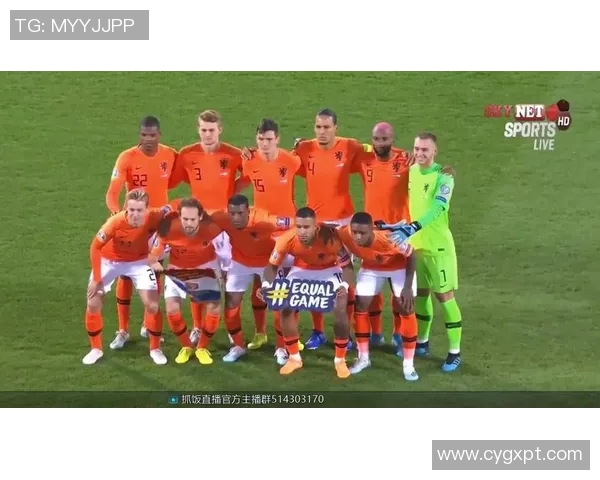 荷兰与北爱尔兰足球对决全面分析战术特点与球队状态