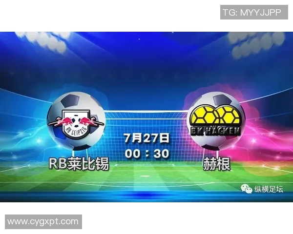 莱比锡与赫根比赛结果分析及精彩瞬间回顾