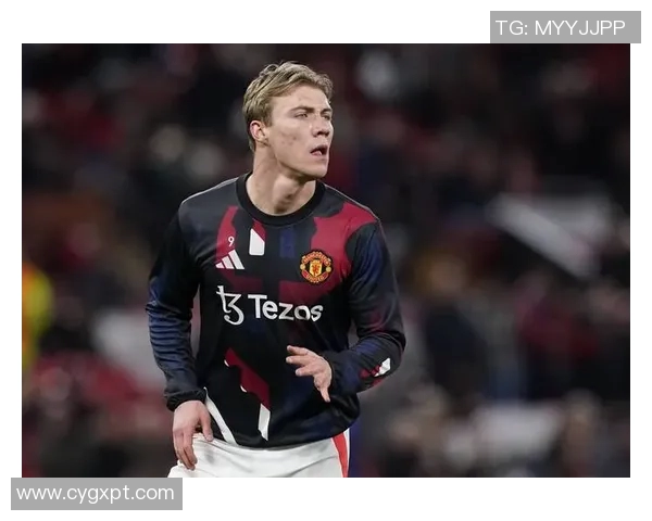 霍伊伦的传奇人生与时代变迁的深刻影响探讨