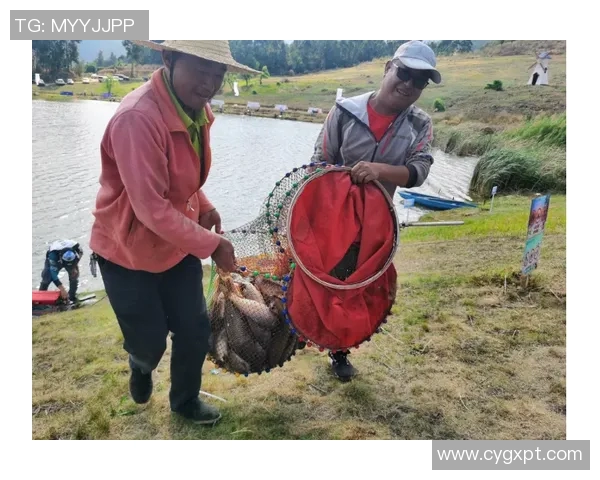 LNG在精英赛中的比赛经验分析与表现评估 LNG在精英赛中的比赛经验分析与表现评估