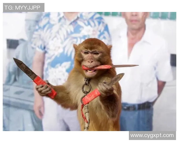 龙狮与奇才的对决究竟隐藏了怎样的故事与悬念