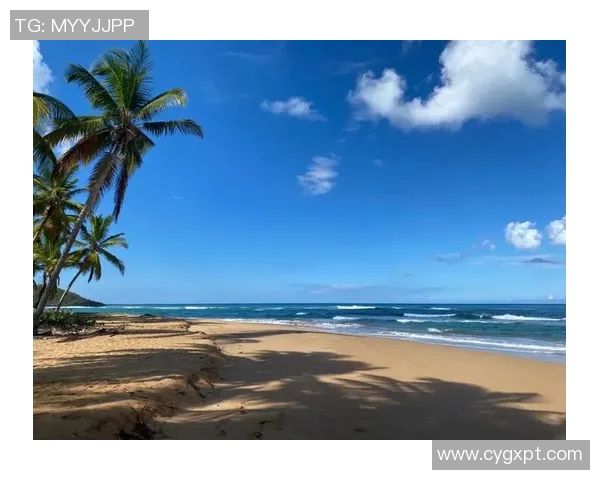 古巴与多米尼加的激烈对决展现加勒比海地区的足球魅力与文化交融