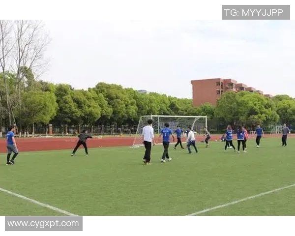 北京飞盘队防守分析:优缺点及改进建议探讨