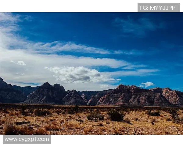 天空与拉斯维加斯的魅力对比与深度分析探讨 天空与拉斯维加斯的魅力对比与深度分析探讨