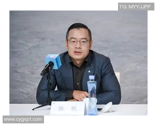 张帆在职场中的成长与挑战：从新手到行业领军者的奋斗历程与经验分享