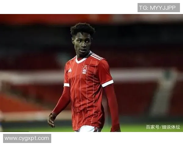 探寻索博斯洛伊的历史魅力与文化传承之旅