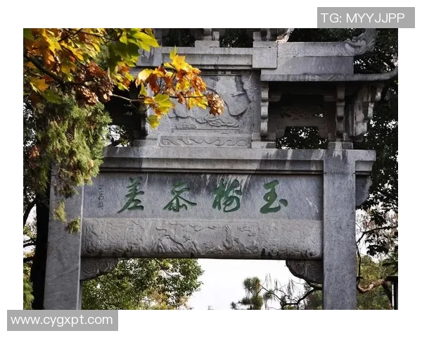 陀江级VS022战舰性能解析与未来发展趋势探讨