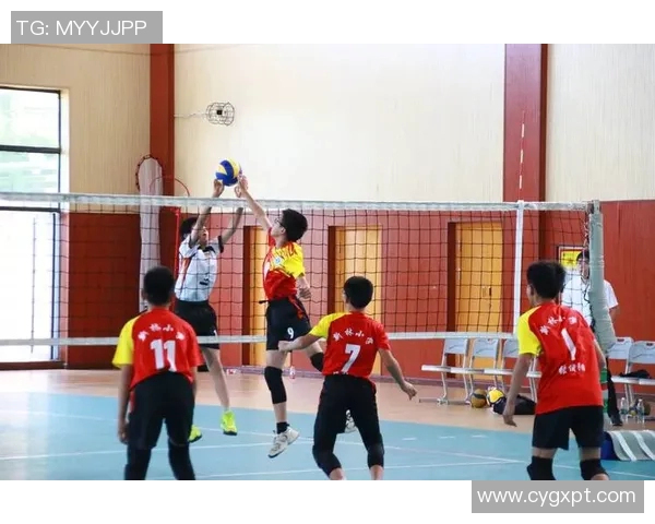 重庆排球队状态分析与表现评估探讨及未来发展建议