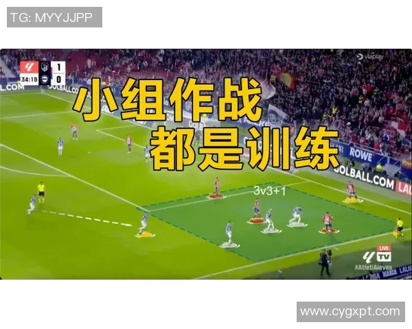 鸟取飞翔与大分公式的精彩对决分析与战术探讨