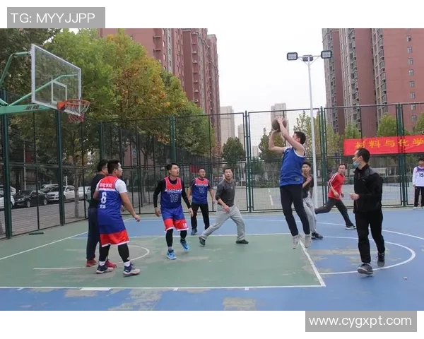 篮球明星学历揭秘：从球场到校园他们的求学历程与成就