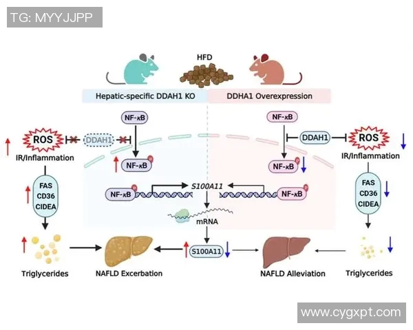 数据分析揭示WE团队协作表现的优势与改进空间